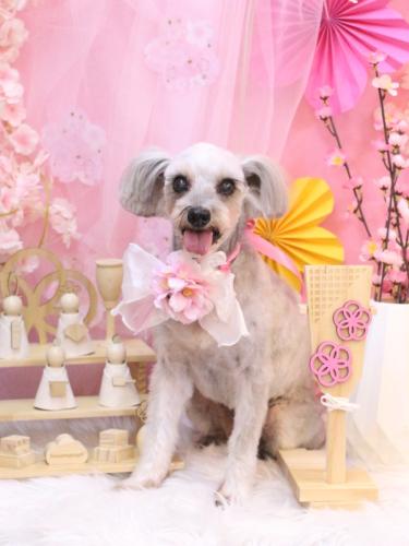 20250305ここちゃん